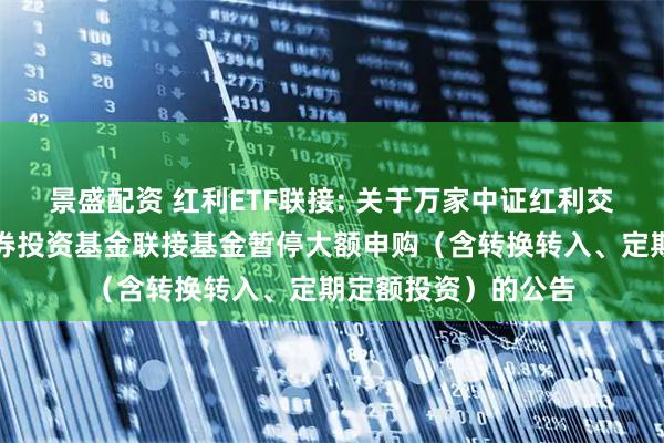 景盛配资 红利ETF联接: 关于万家中证红利交易型开放式指数证券投资基金联接基金暂停大额申购(含转换转入、定期定额投资)的公告