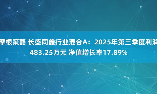 摩根策酪 长盛同鑫行业混合A:2025年第三季度利润483.25万元 净值增长率17.89%