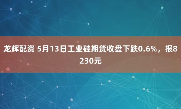 龙辉配资 5月13日工业硅期货收盘下跌0.6%，报8230元
