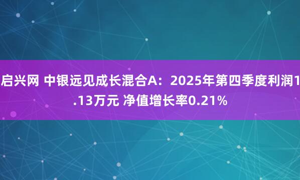 启兴网 中银远见成长混合A：2025年第四季度利润1.13万元 净值增长率0.21%