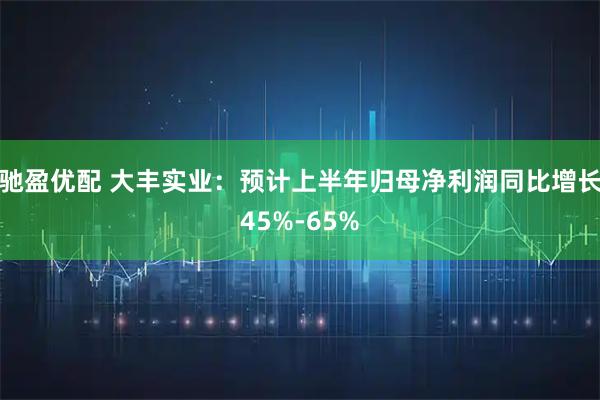 驰盈优配 大丰实业：预计上半年归母净利润同比增长45%-65%
