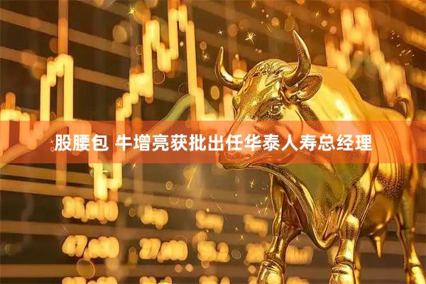 股腰包 牛增亮获批出任华泰人寿总经理
